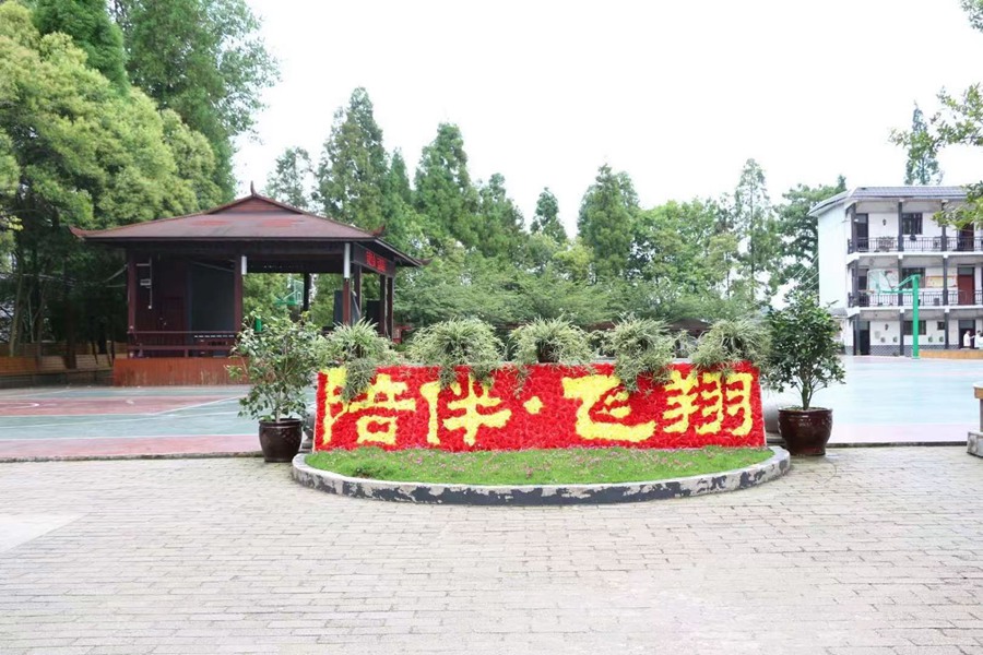 校园环境44